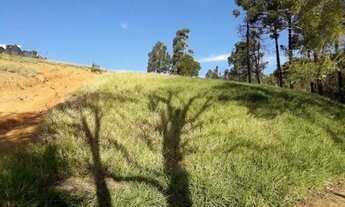 Imagem: Terreno no bairro dos Nogueira, em Joanópolis-SP