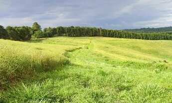 Imagem 4: Vende-se terreno em Cotia-sp