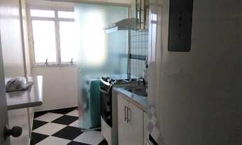 Imagem 4: Apartamento Padrão para Venda em Jardim Dom Vieira Campinas-SP