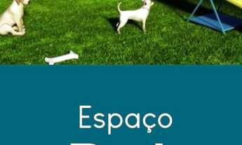 Imagem 4: APARTAMENTO - NOSSA SENHORA APARECIDA - MG