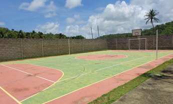 Imagem 6: Lote São Miguel dos Milagres