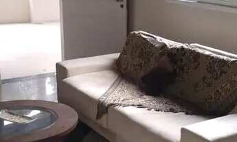 Imagem 6: CASA COM 4 SUÍTES PARA VENDA EM CONDOMÍNIO COM ÁREA DE LAZER EM ALDEIA!