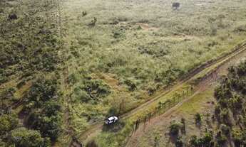 Imagem: Fazenda em Dueré - Tocantins Fazenda à