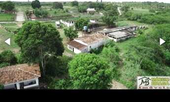 Imagem 7: Granja no Mendes com 8 há. Linda casa.20 baías. Curral. Riacho perene