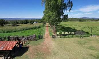 Imagem: Vende-se Fazenda em Buritis MG, 180km de