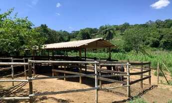 Imagem 5: Fazendinha 10 ha, casa, área externa com piscina, casa de caseiro, cisterna, riacho