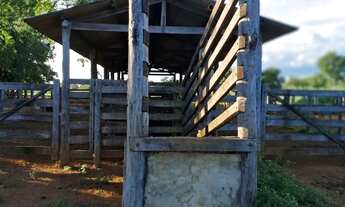 Imagem 3: Chácara a venda Flores de Goiás