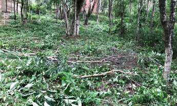 Imagem 2: Vendo lote bananal