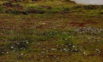 Imagem 2: Terreno à Venda Alphaville II