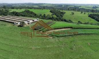 Imagem 2: Sítio com galpões de granja, 85 mil aves, área com 20,8 alqueires