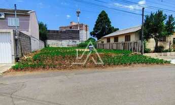 Imagem 5: TERRENO PLANO - RUA ASFALTADA - BAIRRO SÃO LUIZ GONZAGA - A VENDA - PASSO FUNDO RS