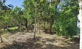 Imagem 3: Chácara em Santo Antônio de Leverger