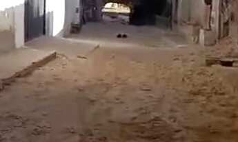 Imagem 2: Terreno 4x9 próximo ao Castelão boa localização