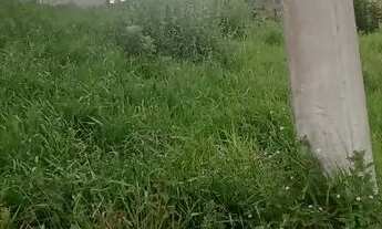 Imagem 2: Lote bairro Pinheiros