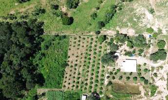 Imagem 3: Rancho/ Sítio/ Chácara