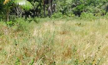 Imagem 2: Sítio Pau Rosa - R$ 10.000 de Entrada