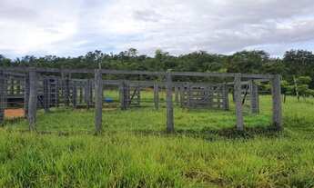Imagem 6: Fazenda 3 quartos para Venda Amaral, Unaí