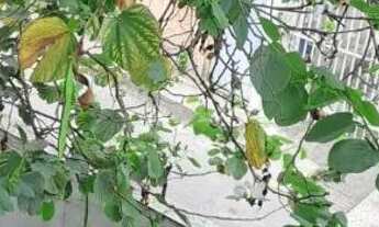 Imagem 3: Alugo casa 1 quarto em laranjeiras