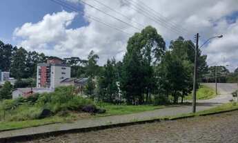 Imagem 3: Venda de terreno em Caxias do Sul, bairro Desvio Rizzo