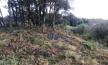 Imagem 5: Terreno à venda, 559 m² por R$ 699.000,00 - Monte Bérico - Caxias do Sul/RS