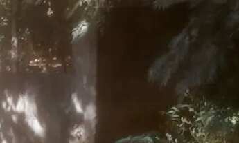 Imagem 4: Lote no bairro paraíso