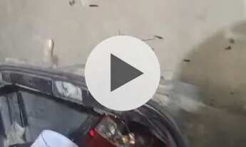 Imagem 6: Terro Plano 144 m2 -Vita Tolaine Jandira