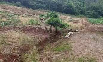 Imagem 4: Área de terra bairro Feliz Lembrança, Nova Petrópolis.RS REF: 301