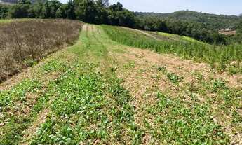Imagem 2: Terreno à venda em Ibiúna, 18min do centro