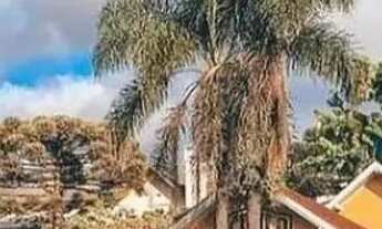 Imagem 4: Área - Bairro São José