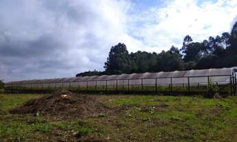 Imagem 2: Lindo Sítio com água em abundância