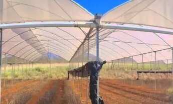 Imagem 4: Área Rural em Alexânia com 3,75 Alqueires, com 02 represas, Galpão, Casa, Curral, Coxo par
