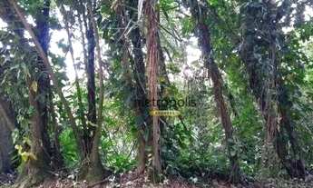 Imagem 7: Terreno à venda, 600 m² por R$ 198.000,00 - Sítio Jandaia - São Bernardo do Campo/SP