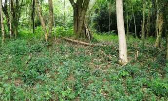 Imagem 3: Hectares para chácara