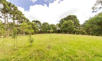 Imagem: Terreno à venda em Colombo