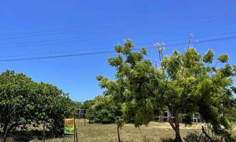 Imagem 2: Vendo dois Lotes no Loteamento RGA no Matapua