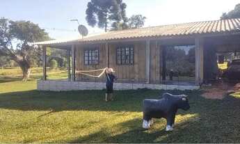 Imagem 2: Chácara medindo 5 mil metros no Marmeleiro Alm Tamandaré