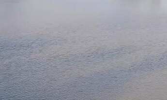 Imagem 5: Linda fazenda de 100t com uma belíssima casa a 28 km de Feita