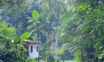 Imagem 4: Terreno em Ubatuba