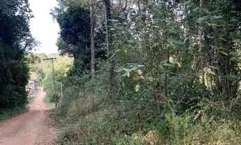 Imagem 6: Lote em Caminho Rodrigues - Pedra Vermelha (Terra Preta) - Mairiporã/SP