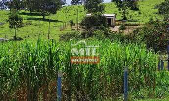 Imagem 4: Chácara em Alexânia 7 alqueires (33,88 hectares