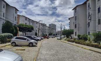 Imagem: Alugo apartamento no Luís dos Anjos (Serraria
