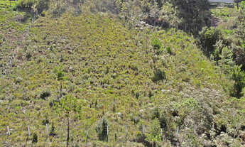 Imagem 4: Terreno à Venda na Região do Atalaia - Campos do Jordão/SP