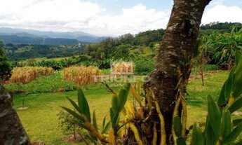 Imagem 4: Sítio Chácara com venda por R$259.000