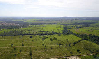 Imagem 6: Chácara 5.000 m2 Serra das Areias Aparecida de Goiânia
