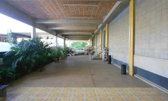 Imagem 7: Sala - Nova Campinas - Campinas