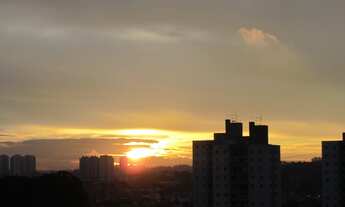 Imagem 3: Lindo Apartamento de 2 quartos 1 Suíte Jd. Bonfiglioli - São Paulo - SP
