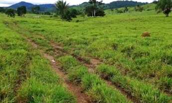 Imagem 4: Sitio 52 alqueires Monte Negro