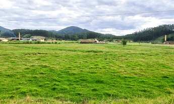 Imagem 2: Ótima fazenda com 60 hectares a venda no município de Canelinha SC!!!