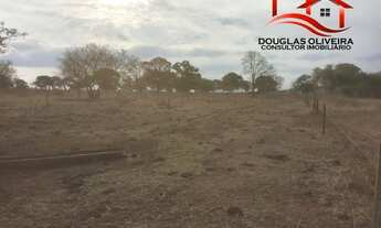 Imagem 5: Fazenda 27 Alqueires Região De Campina Verde/MG