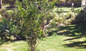 Imagem 4: Casa de condomínio para venda tem 600 metros quadrados com 4 quartos